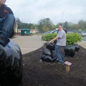 Meet your Posher, Phil